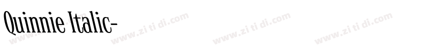 Quinnie Italic字体转换